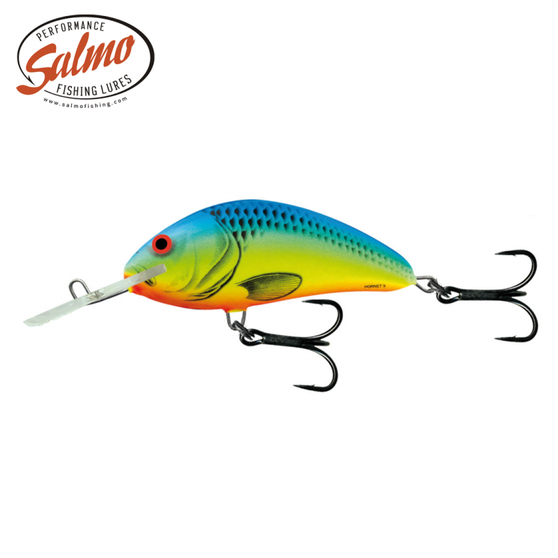 SALMO HORNET S