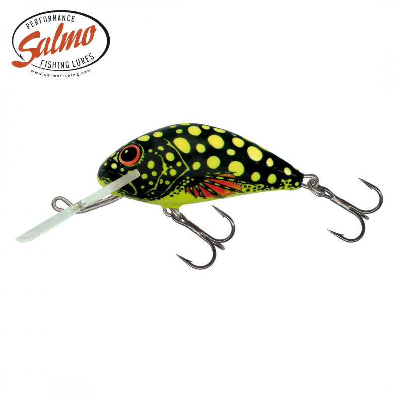 SALMO HORNET F