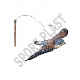 SPORT PLAST FALCO IN VOLO