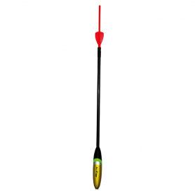 GALLEGGIANTE SERIE 4596	