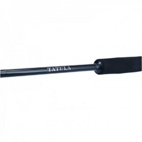 DAIWA 22 TATULA XT SPINNING