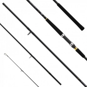 DAIWA 21 JIGCASTER