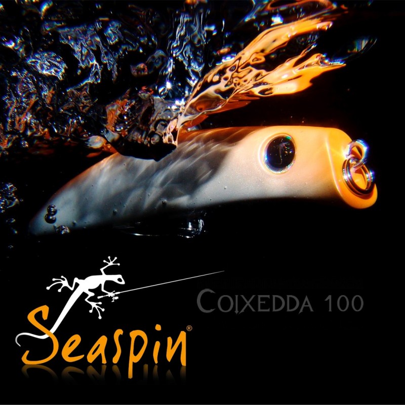 Artificiali Coixedda 100 Hard Lures Seaspin