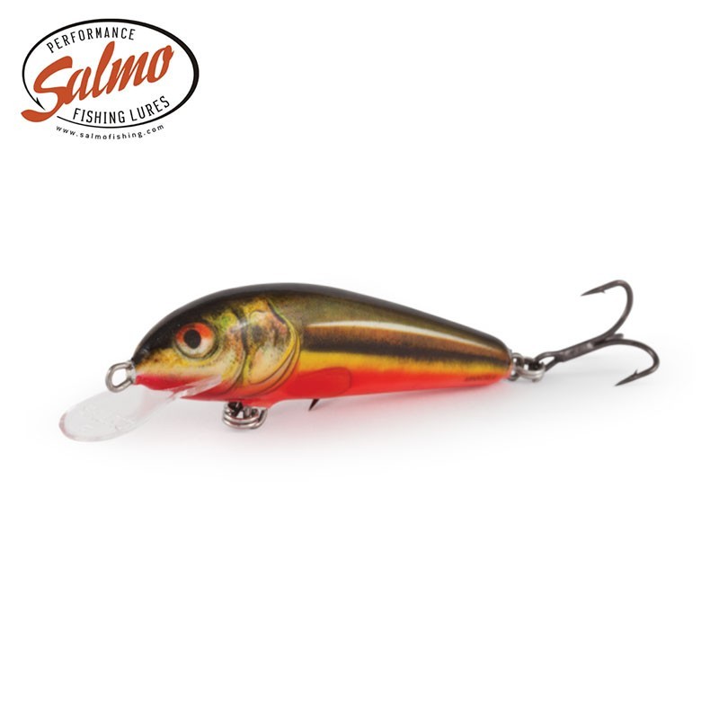 SALMO MINNOW