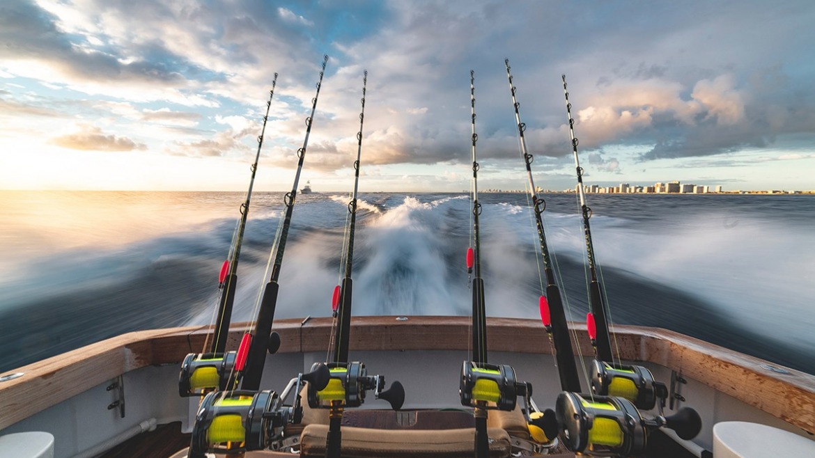 Cos’è e come ottenere la licenza di pesca sportiva